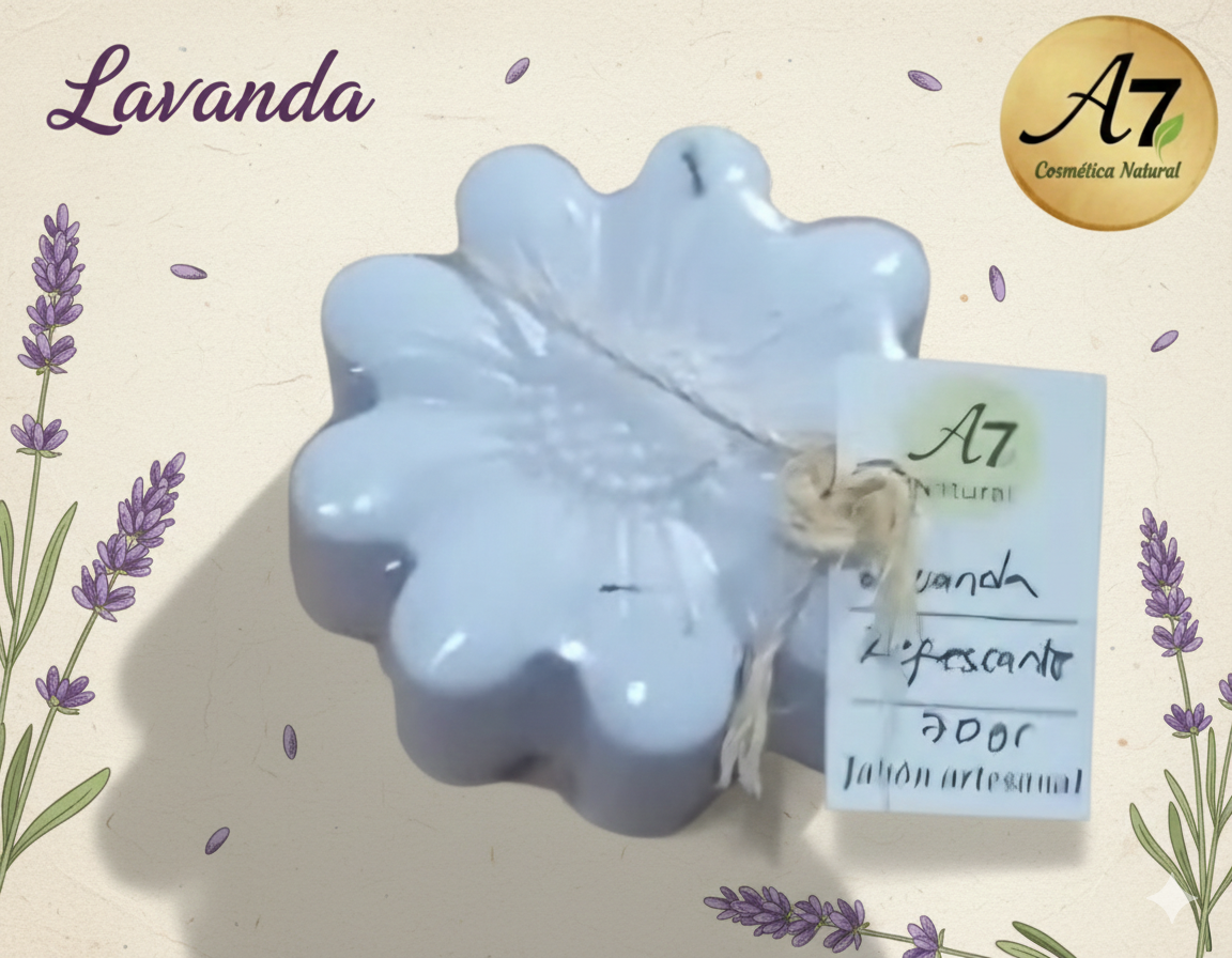 Lavanda