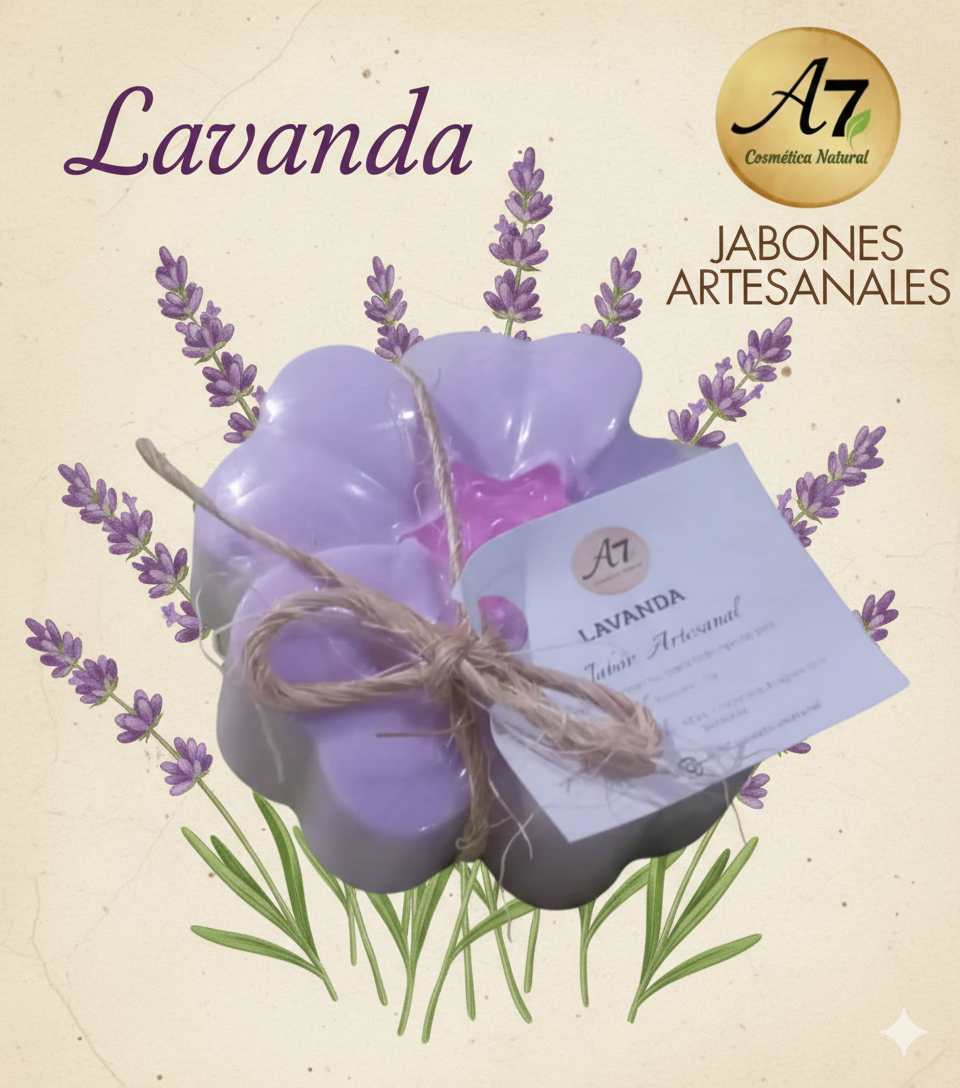 Lavanda 3