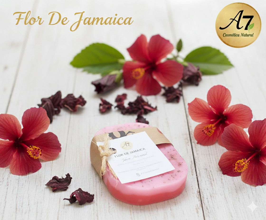 Flor De Jamaica 2